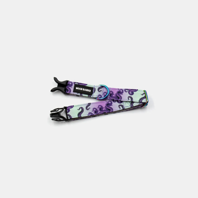wild barks octopus dog collar
