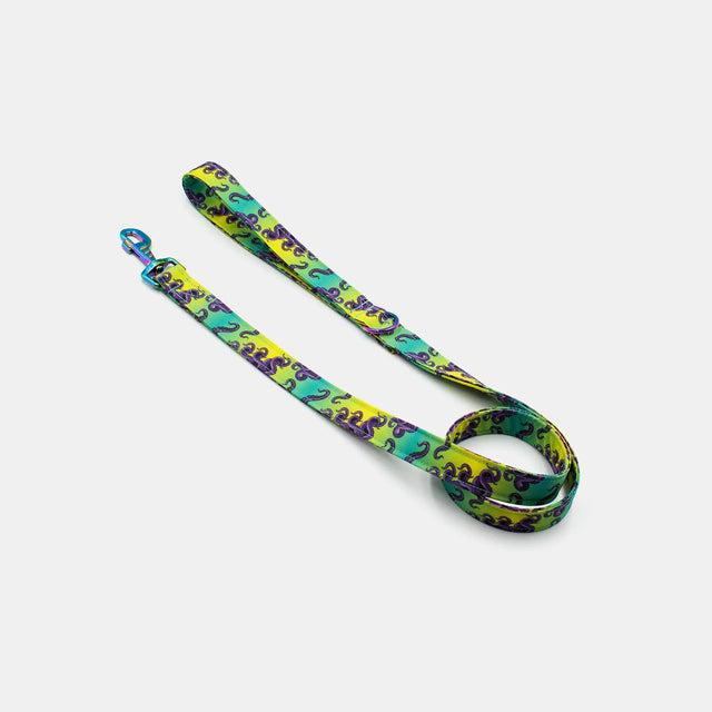 wild barks green octopus οδηγός περιπάτου σκύλου