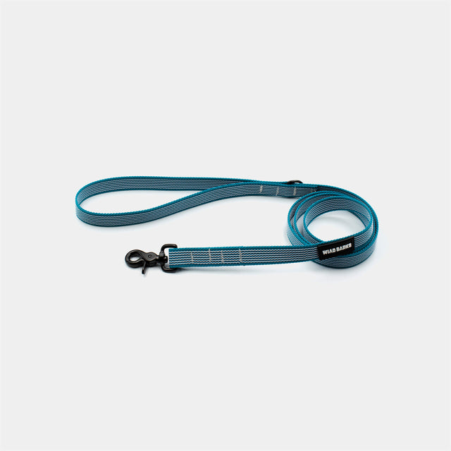 Anti-slip dog leash