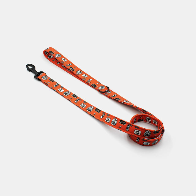 wild barks riders dog leash