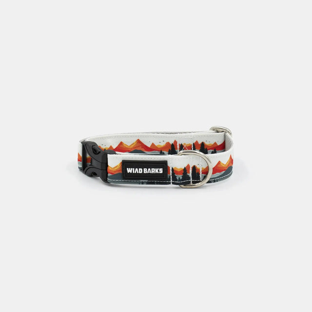 wild barks rocky mountains dog collar