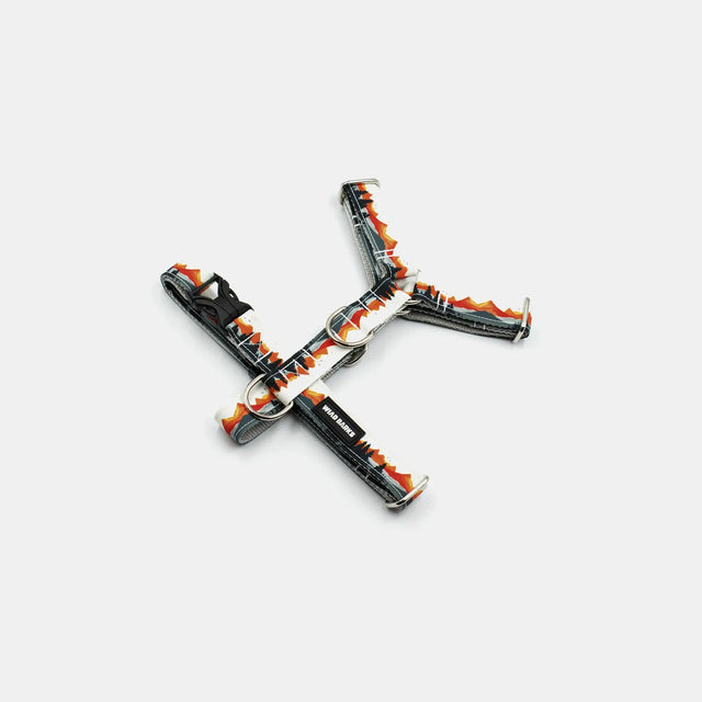 wild barks rocky mountains dog harness
