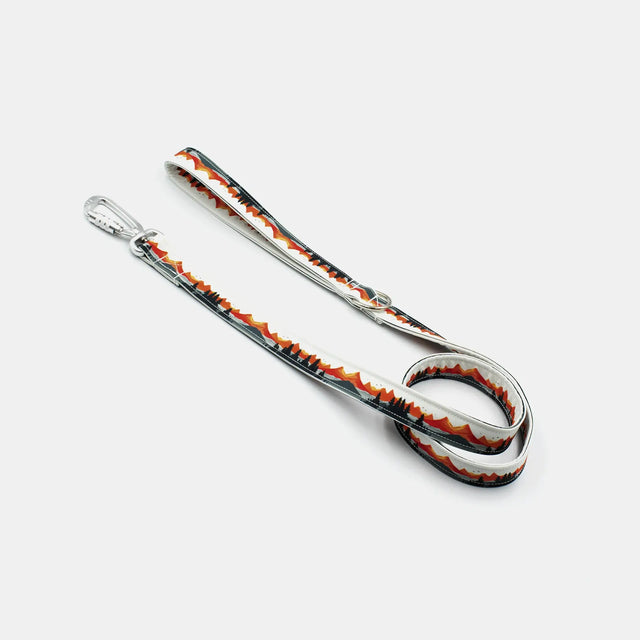 wild barks rocky mountains dog leash