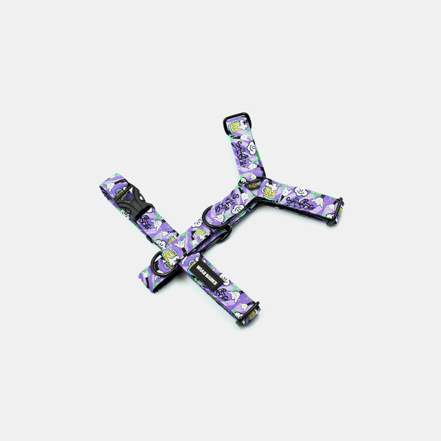 sailor x WB beer dog harness