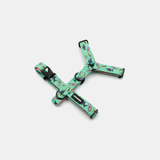 wild barks sharks σαμαράκι σκύλου