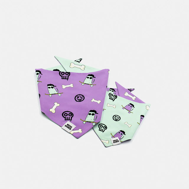 wild barks skate dog bandana