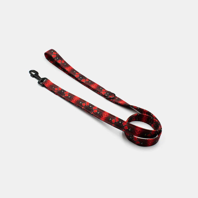 wild barks snake dog leash