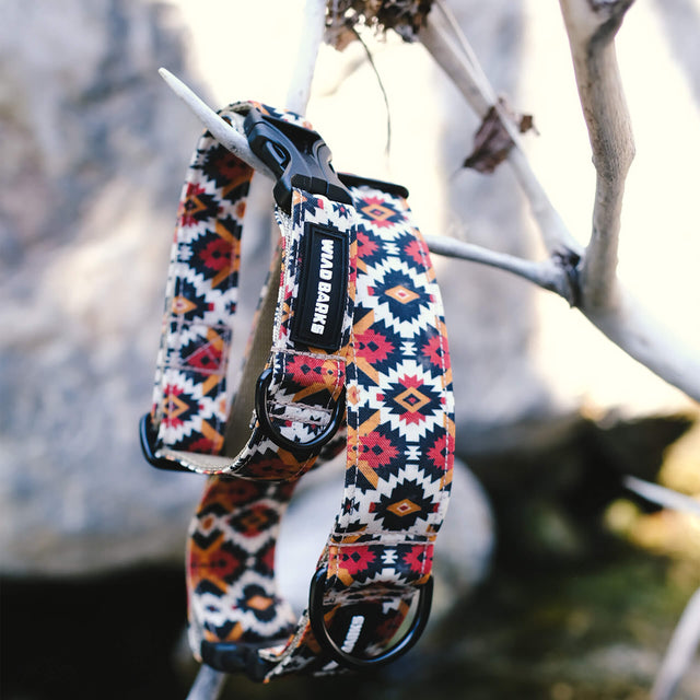 wild barks southwestern dog collar