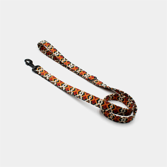 wild barks southwestern dog leash