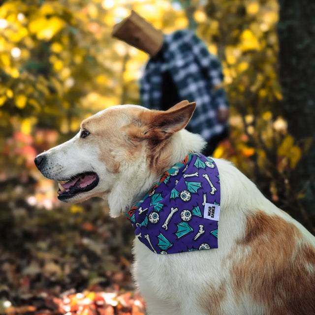 wild barks trick or treat dog bandana