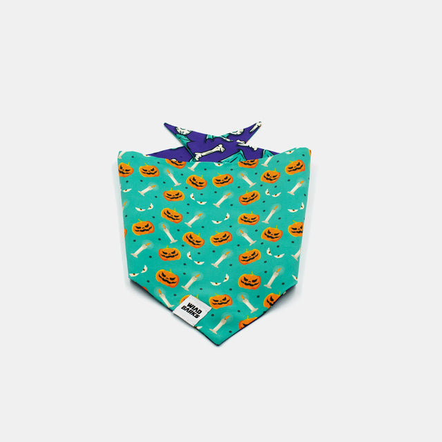 wild barks trick or treat dog bandana