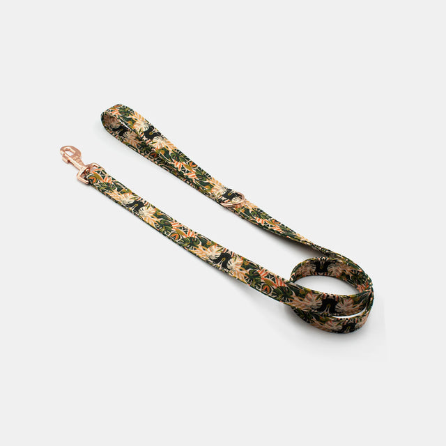 wild barks tropicana dog leash