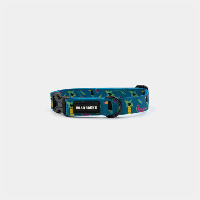wild barks tucan dog collar