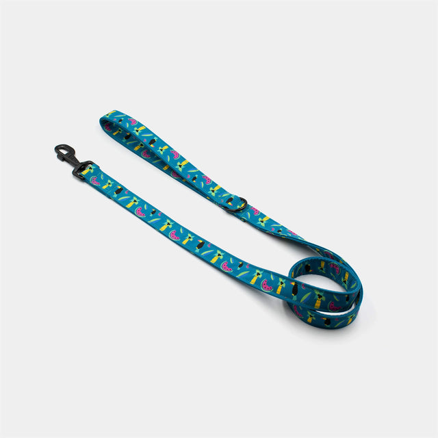wild barks tucan dog leash
