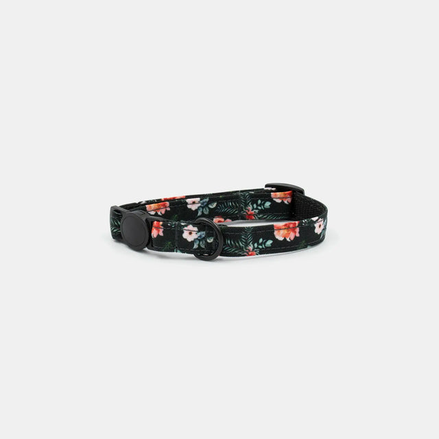 wild barks vintage floral cat collar