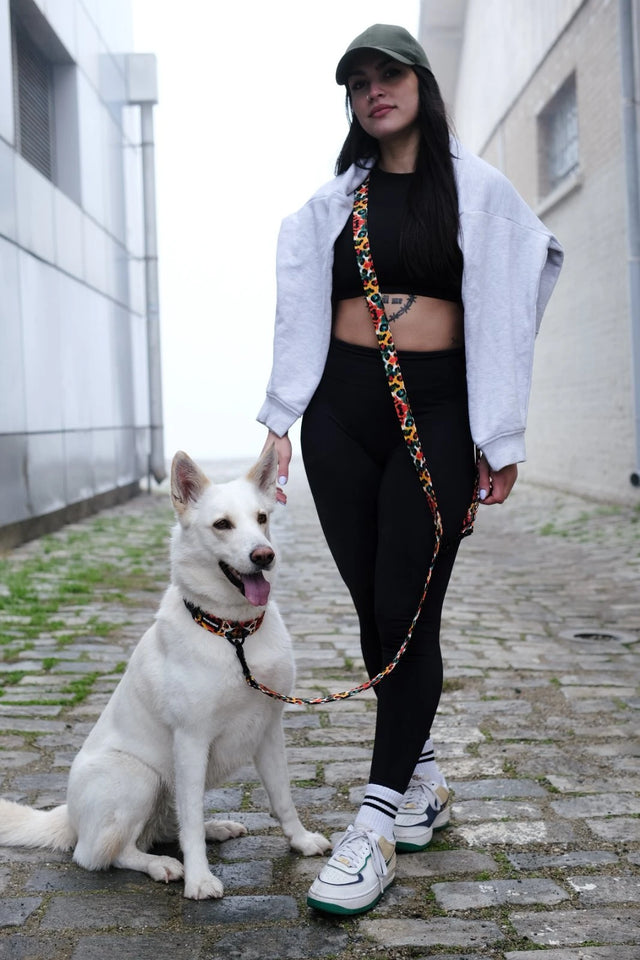 wild barks watercolor leopard