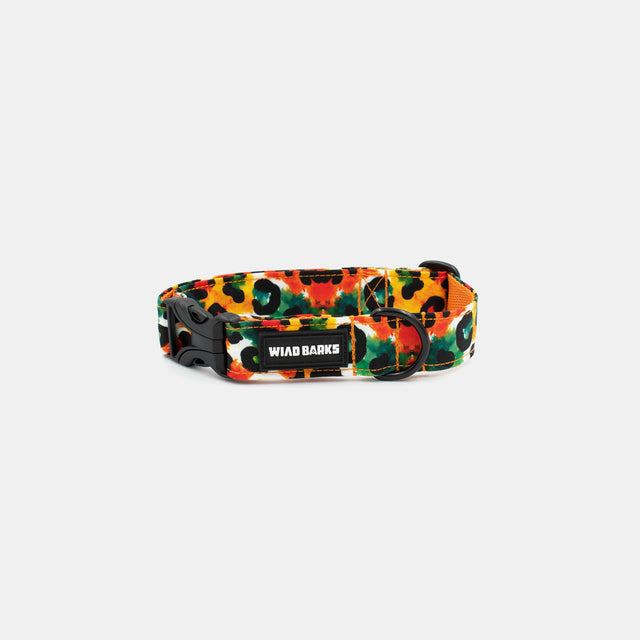 wild barks watercolor leopard dog collar