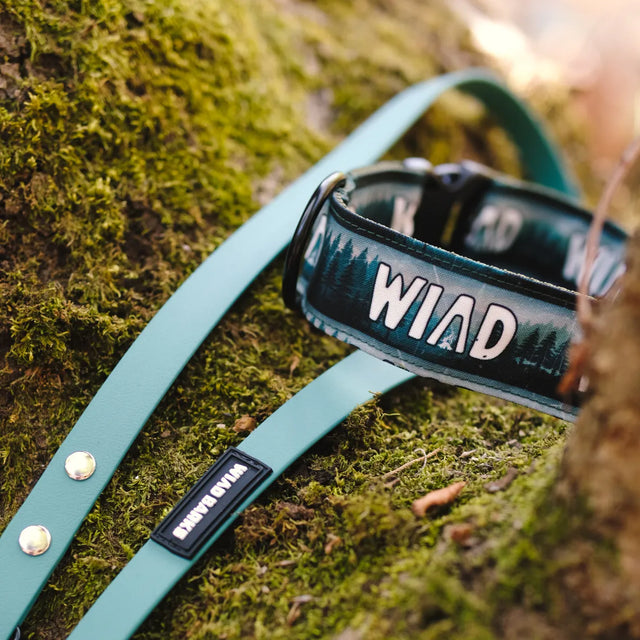 wild barks wild forest dog collar