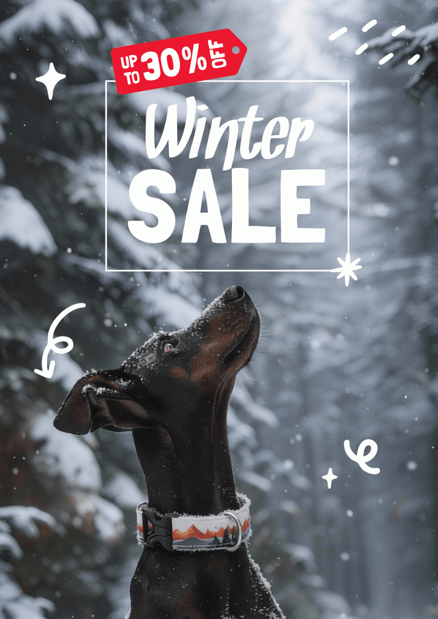 wild barks winter sale