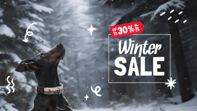 wild barks winter sale