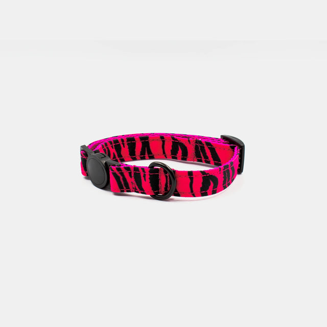 wild barks zebra cat collar