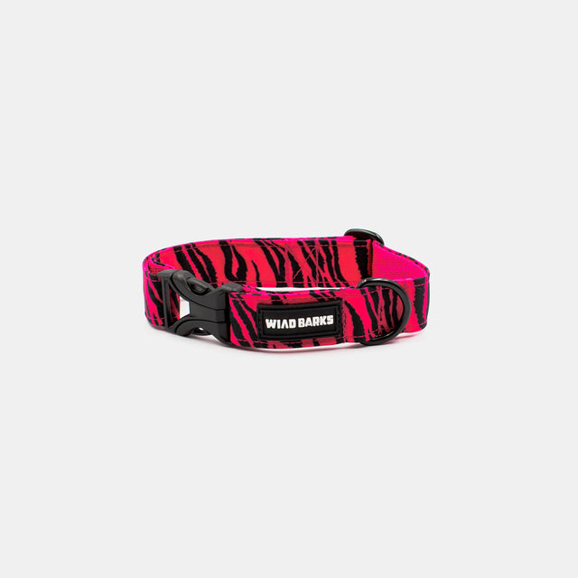 wild barks zebra dog collar