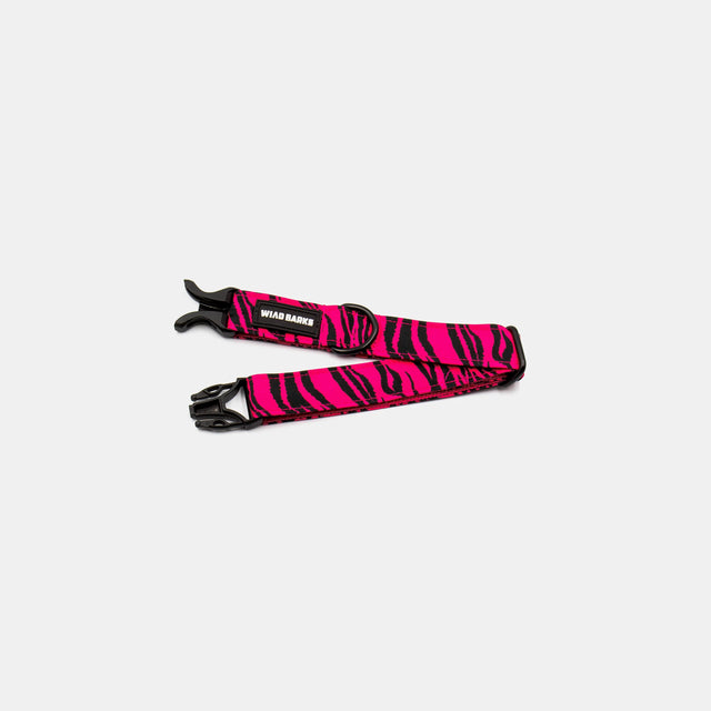 wild barks zebra dog collar