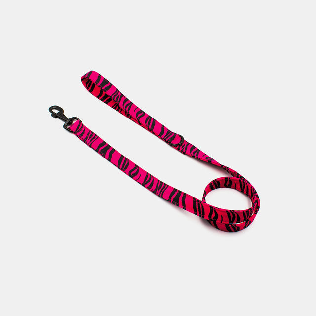 wild barks zebra dog leash